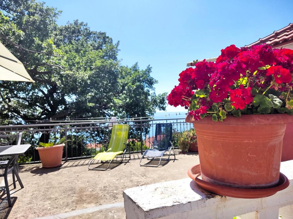Dubrovnik Moonshine Apartment مْليني المظهر الخارجي الصورة