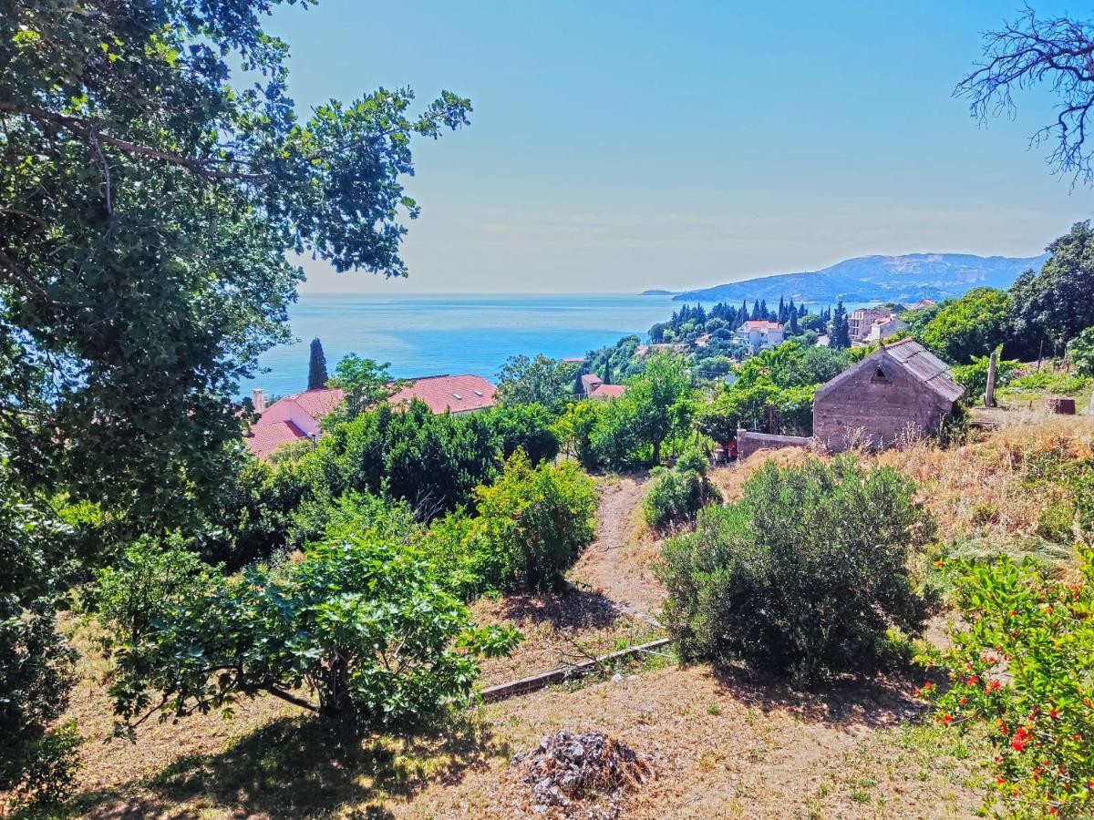 Dubrovnik Moonshine Apartment مْليني المظهر الخارجي الصورة