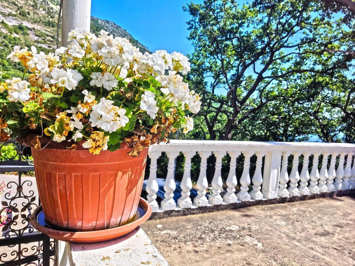 Dubrovnik Moonshine Apartment مْليني المظهر الخارجي الصورة