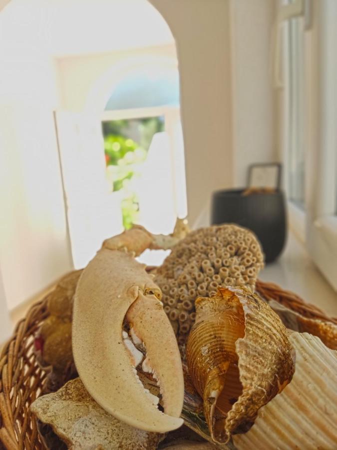 Dubrovnik Moonshine Apartment مْليني المظهر الخارجي الصورة