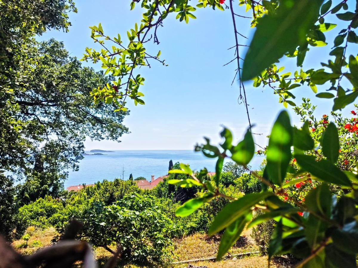 Dubrovnik Moonshine Apartment مْليني المظهر الخارجي الصورة